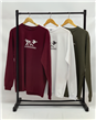 3908 - Remera M/L Aero Estampada