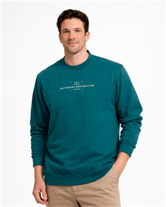 2941 - Buzo Frisa Cuello Redondo Estampado