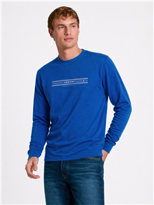 3909 - Remera Aero M/L Estampada