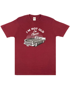 4392 - Remera Aero Estampada