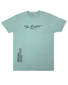 4458 - Remera Aero Estampada