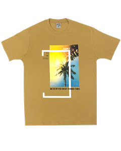 4554 - Remera Aero Estampada